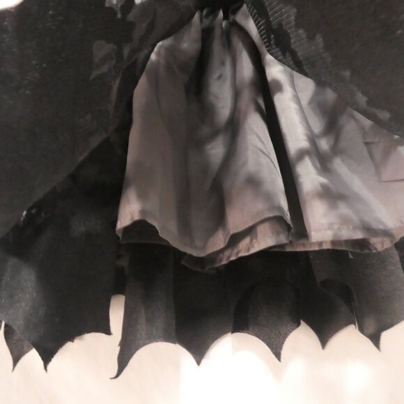 H&M | size 2 | Lined Black Lace Tulle Skirt With Flying Bat Detail | NWOT - Picture 9 of 15